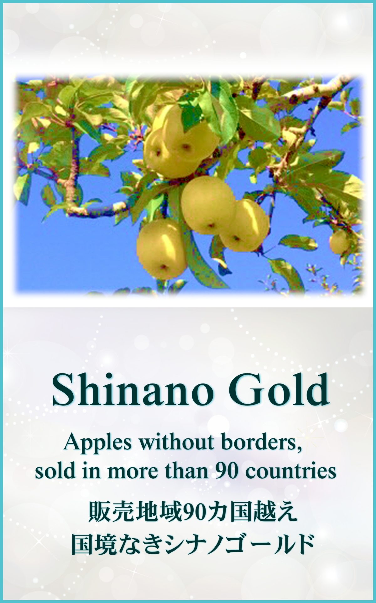 ShinanoGold シナノゴールド