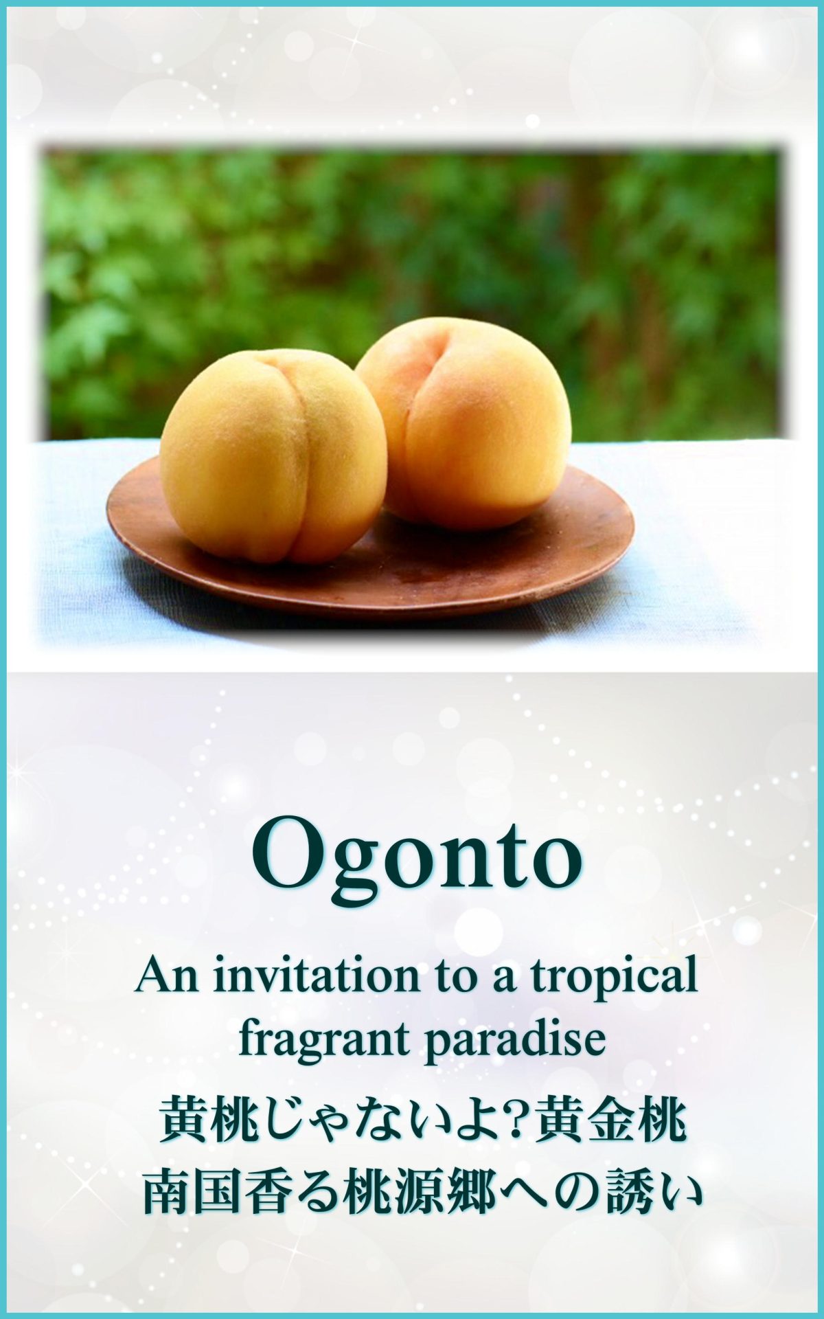 黄金桃 ogonto